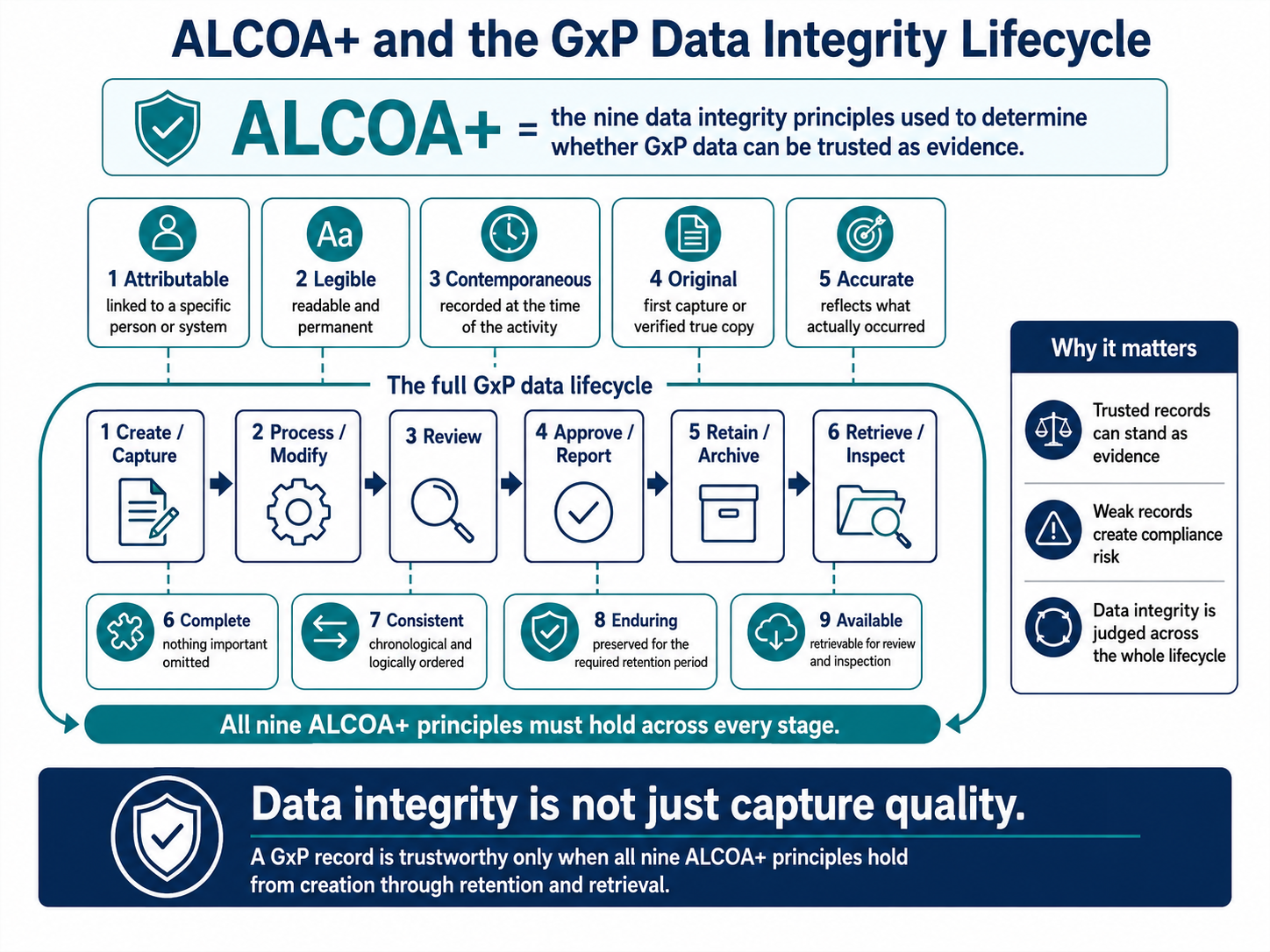 Data Integrity and the ALCOA+ Principles in GxP — ALCOA+ and the GxP Data Integrity Lifecycle